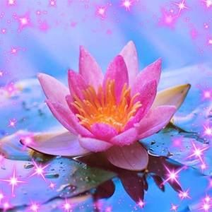 Meet your Posher, Joan